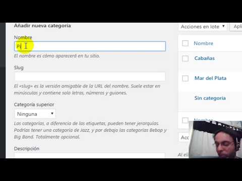 Miniatura · Cómo mejorar el posicionamiento natural (SEO) en WordPress